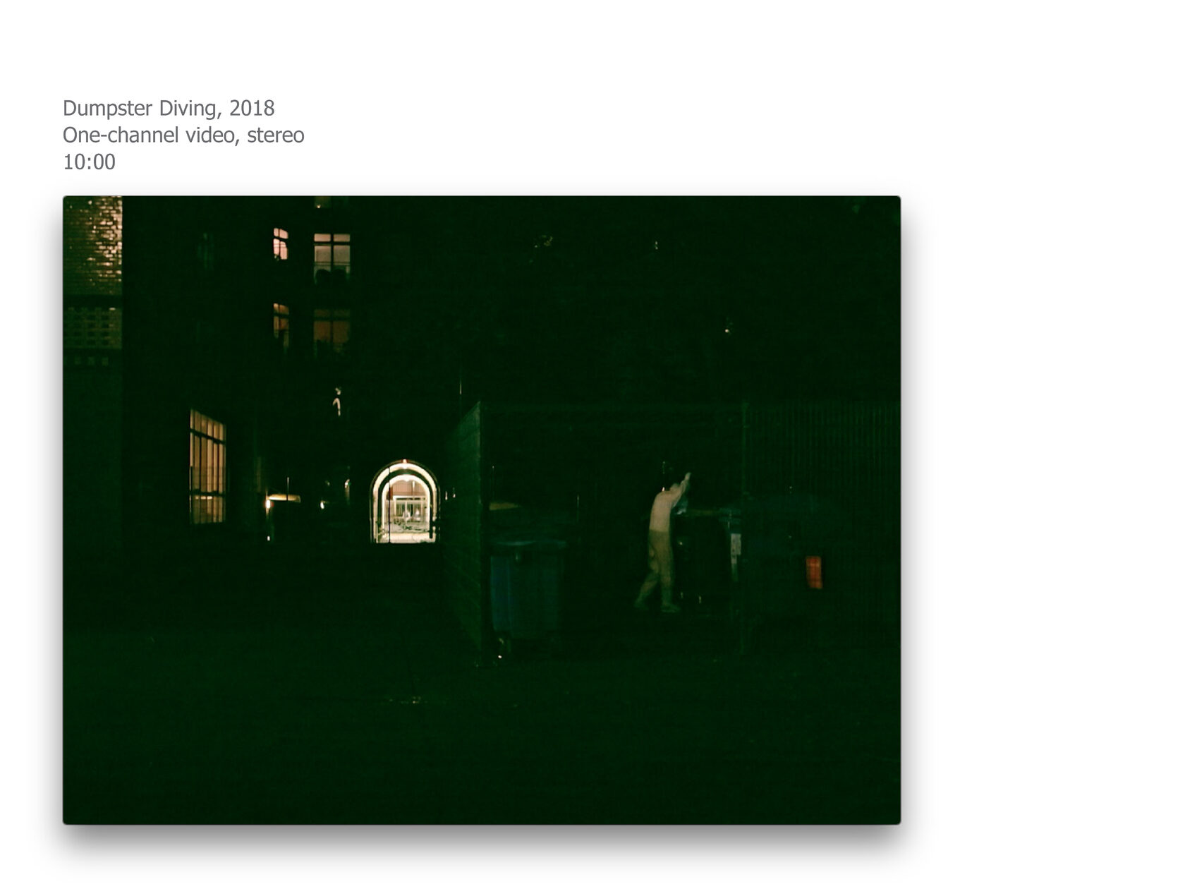 video art, ksenia yurkova, contemporary art, memory, affect, biopolitics, cookbook, hunger, necropolitics
