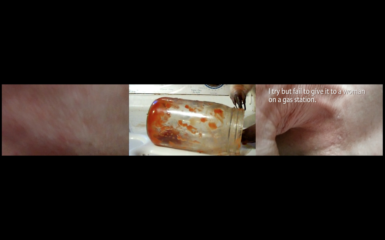 Ksenia Yurkova, videoart, webcam, counterpoint