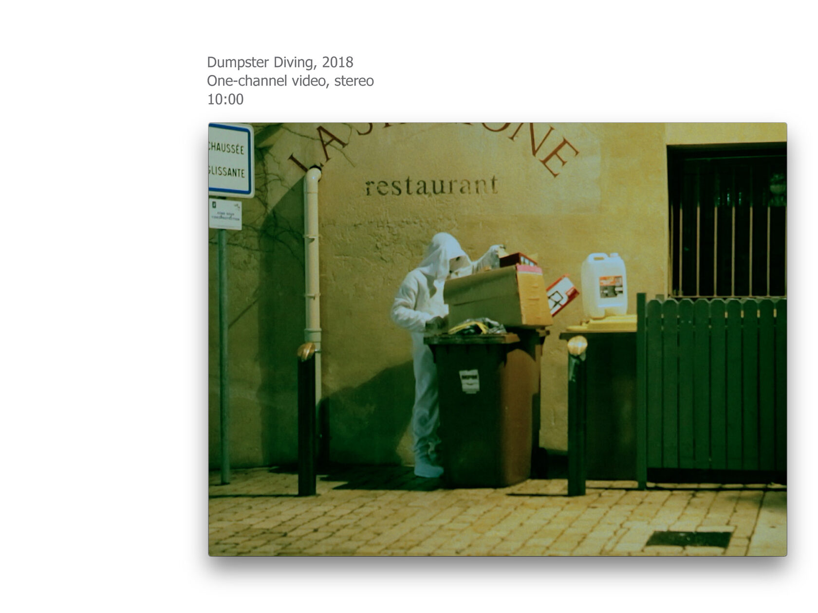 video art, ksenia yurkova, contemporary art, memory, affect, biopolitics, cookbook, hunger, necropolitics