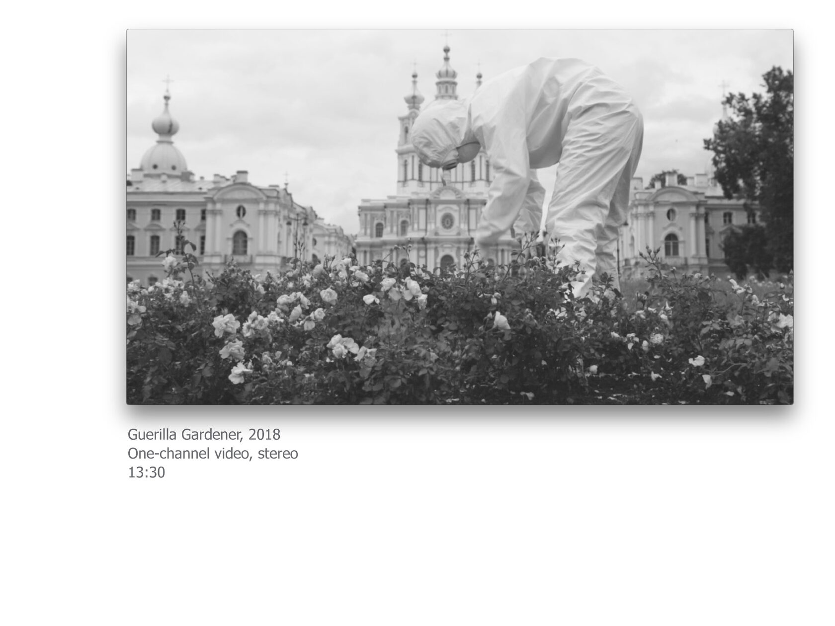 video art, ksenia yurkova, contemporary art, memory, affect, biopolitics, cookbook, hunger, necropolitics