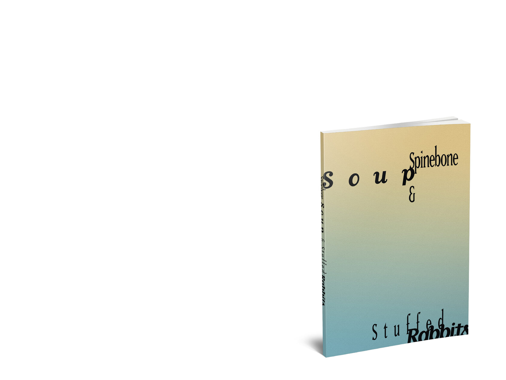 contemporary photography, ksenia yurkova, contemporary art, artist book, memory, affect, bio politics, cookbook, hunger, necropolitics