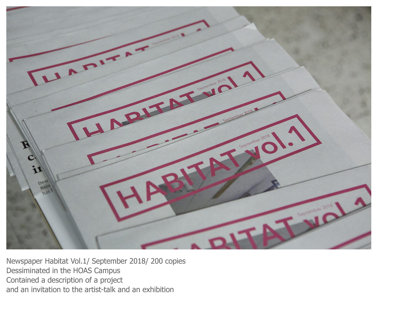 intervention, ksenia yurkova, contemporary art, language, affect, habitus, installation