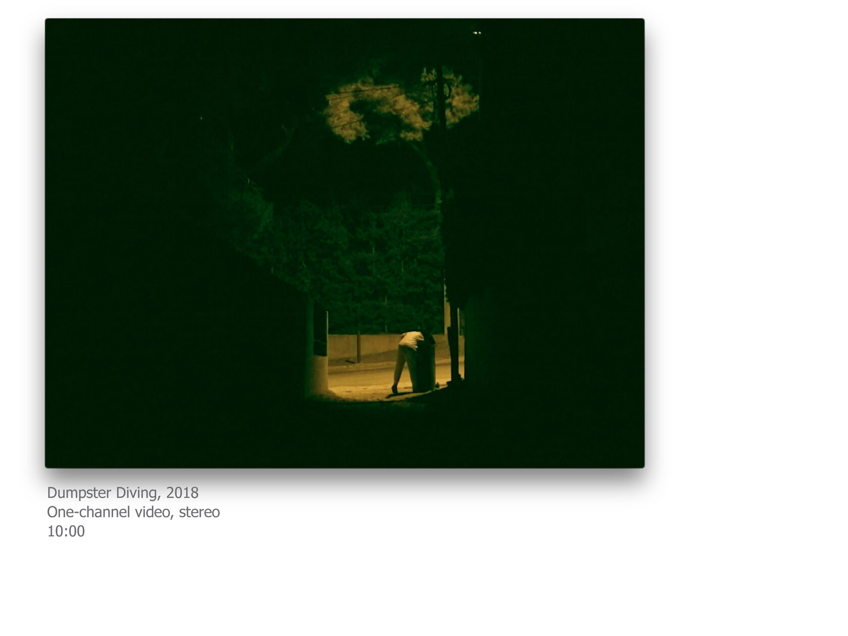 video art, ksenia yurkova, contemporary art, memory, affect, biopolitics, cookbook, hunger, necropolitics