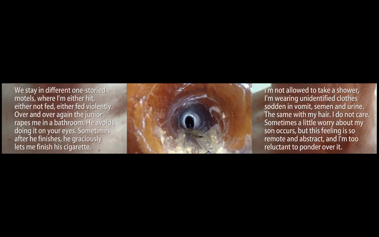 Ksenia Yurkova, videoart, webcam, counterpoint