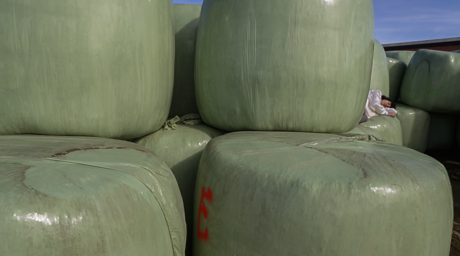 contemporary performance, ksenia yurkova, contemporary art, video-art, affect, memory, body