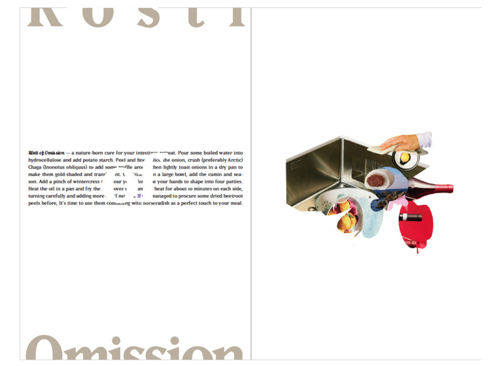 contemporary photography, ksenia yurkova, contemporary art, artist book, memory, affect, bio politics, cookbook, hunger, necropolitics