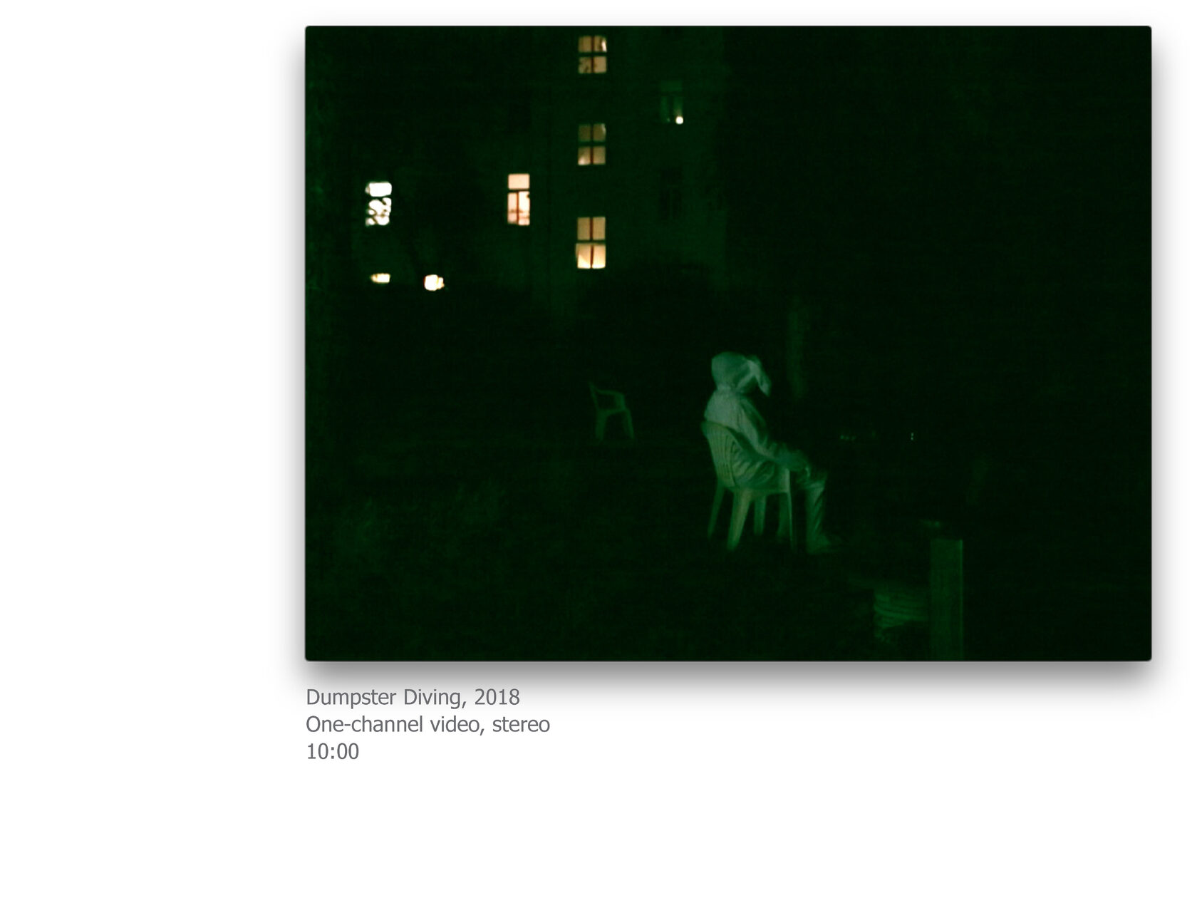 video art, ksenia yurkova, contemporary art, memory, affect, biopolitics, cookbook, hunger, necropolitics